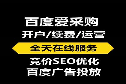 百度搜索推广实战经验：经典案例启示录